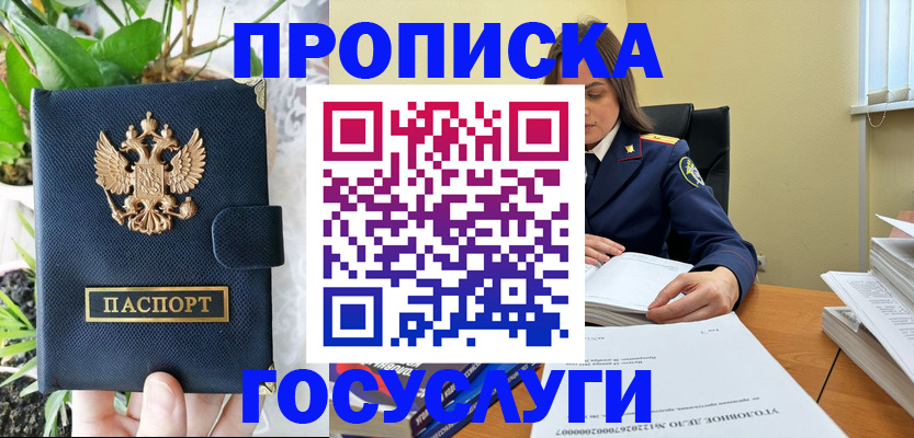 прописка штамп в Шилке